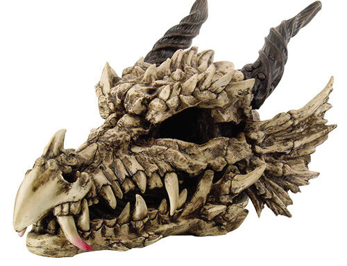 Large Dragon Skull – IN STORE ONLY