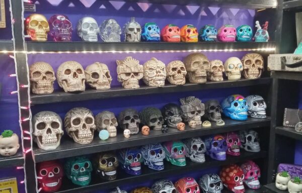 Skulls – only available IN STORE